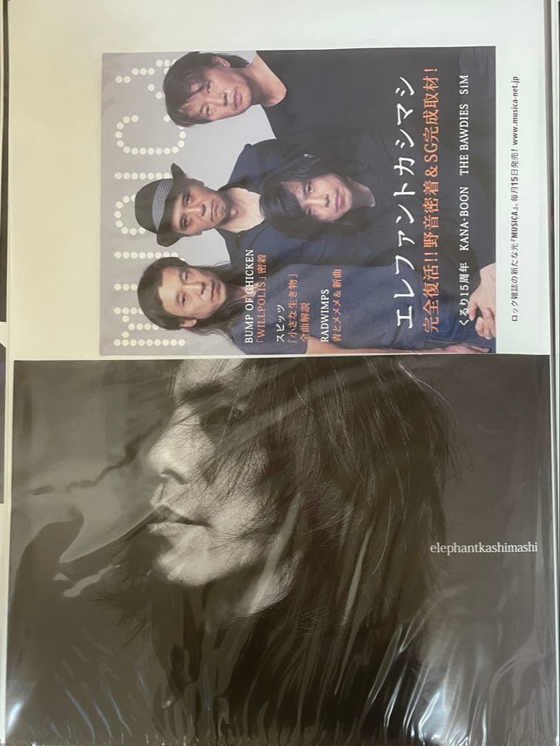 MASTERPIECE B3 エレファントカシマシ music A3ポスター