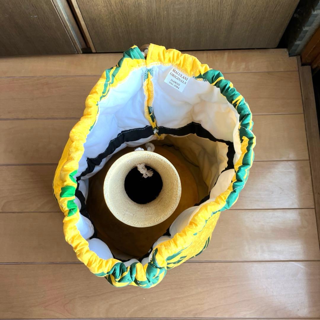 フラダンス　楽器　イプ