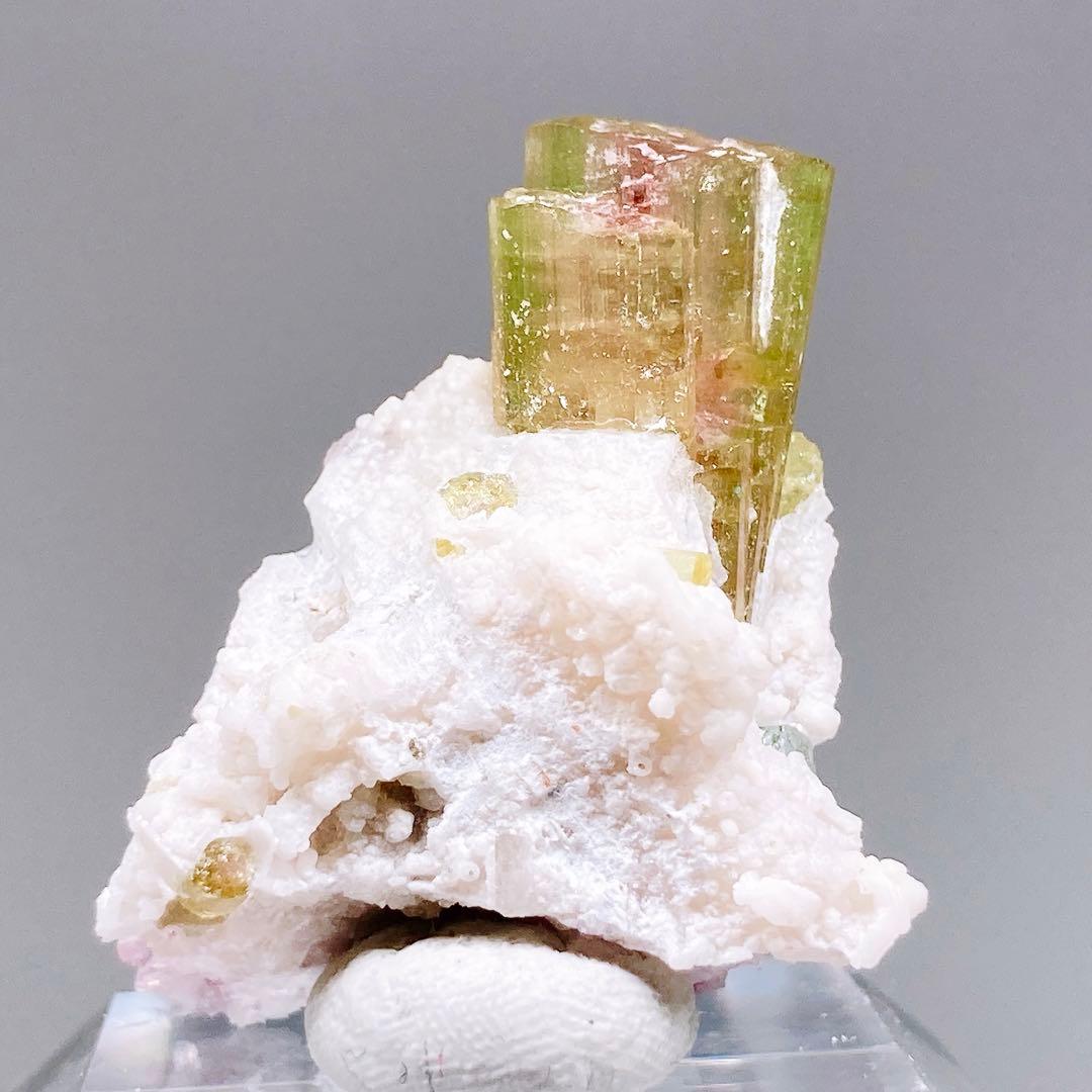 トルマリン　ウォーターメロントルマリン　鉱物標本　原石　194