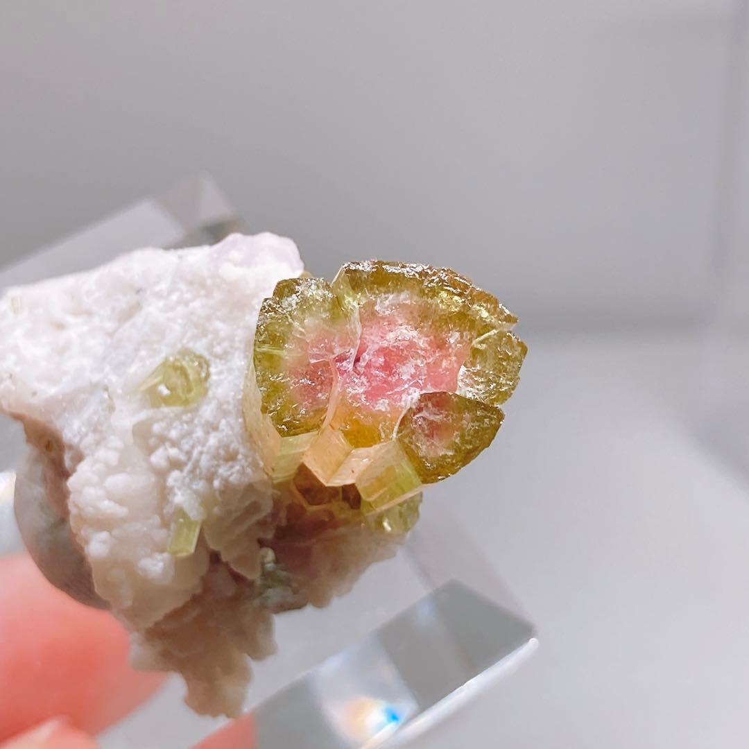 トルマリン　ウォーターメロントルマリン　鉱物標本　原石　194