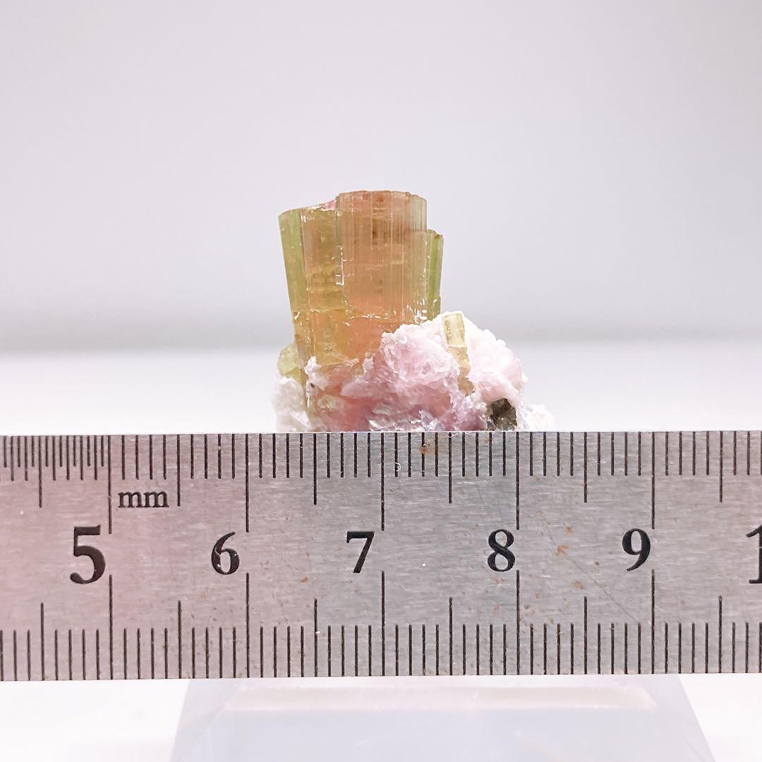 トルマリン　ウォーターメロントルマリン　鉱物標本　原石　194