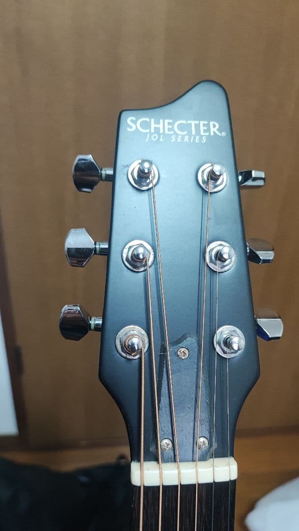 シェクターOL-FL-SBB