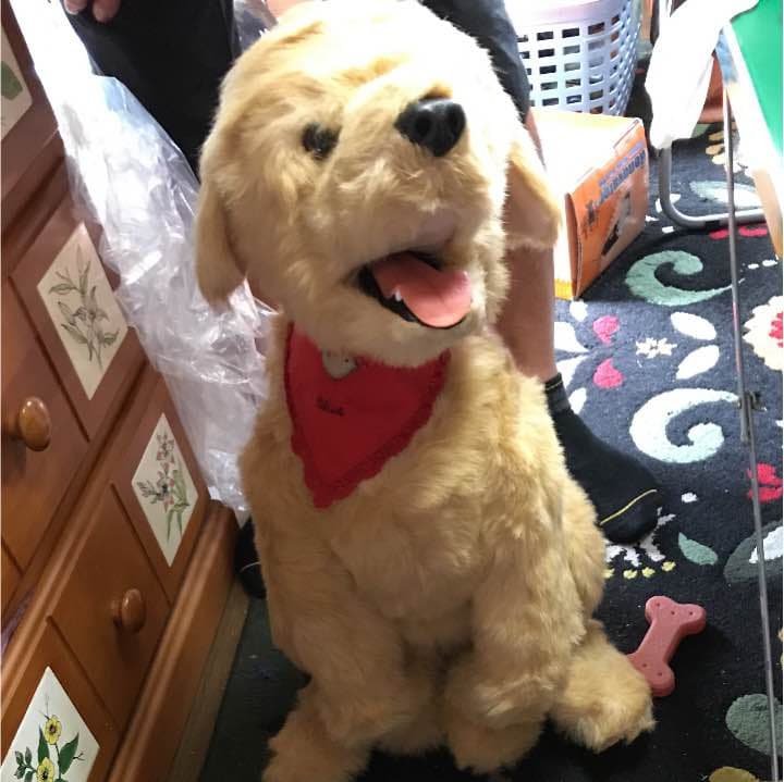 ぬいぐるみロボット