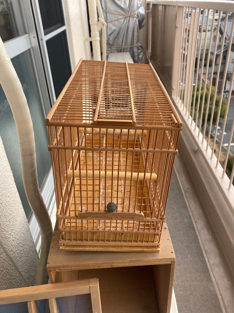 竹籠　ウグイス籠　ミソサザイに最適　就寝ケース付き