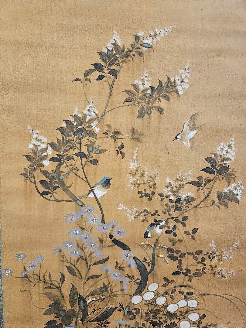 鈴木其一 　花鳥画　葵紋表装　琳派　酒井抱一弟子