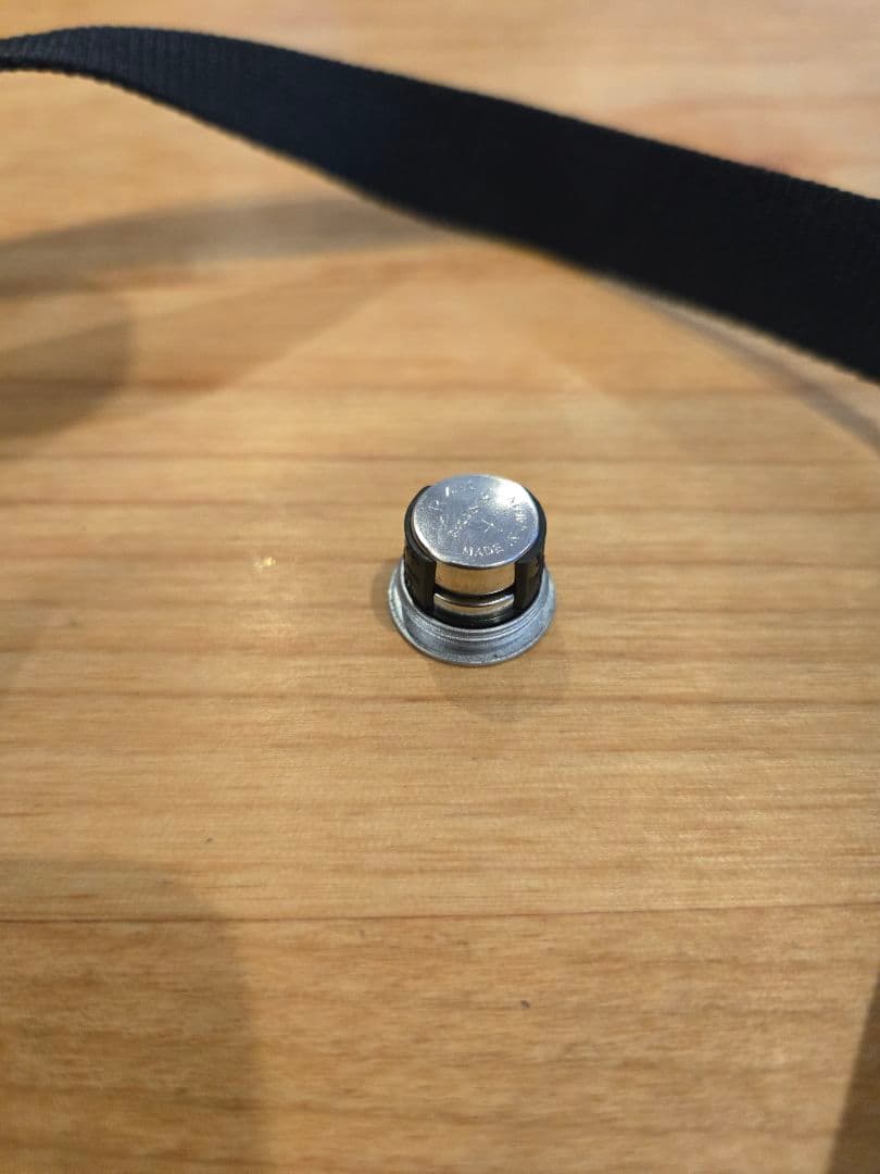 「カメラすき♥️マロン」