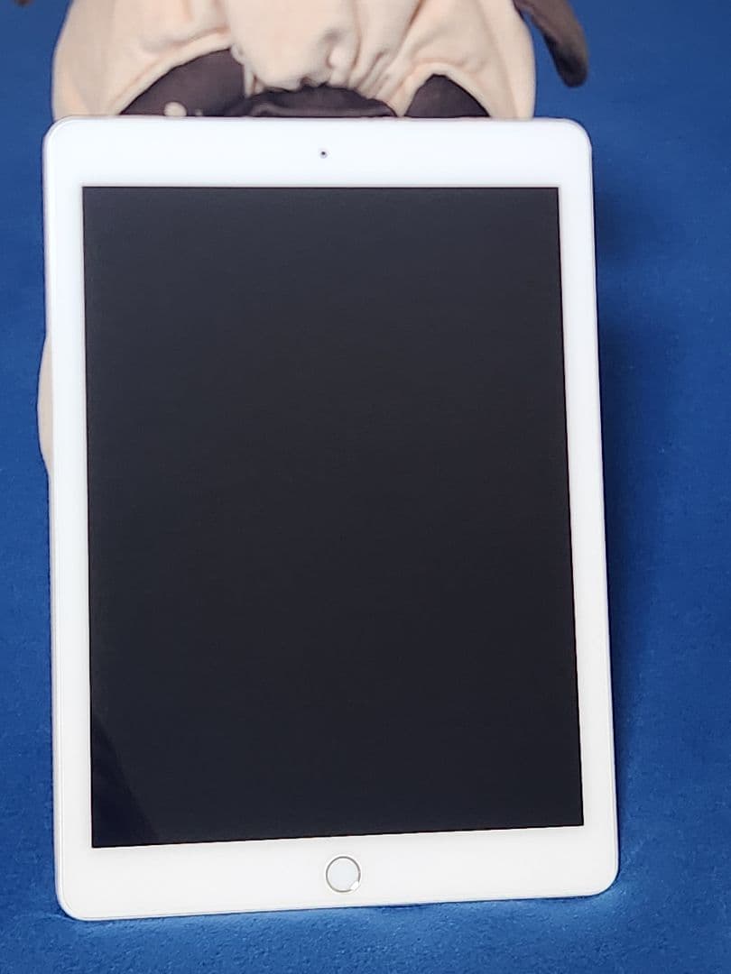 【最終値下】iPad Pro 9.7 256GB シルバー ペン キーボード