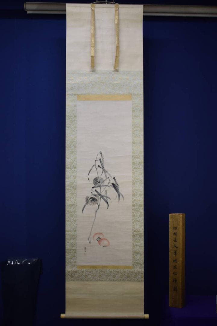 真作/松村景文/枝栗/紅柿図/桐題箱付/布袋屋掛軸HI-242