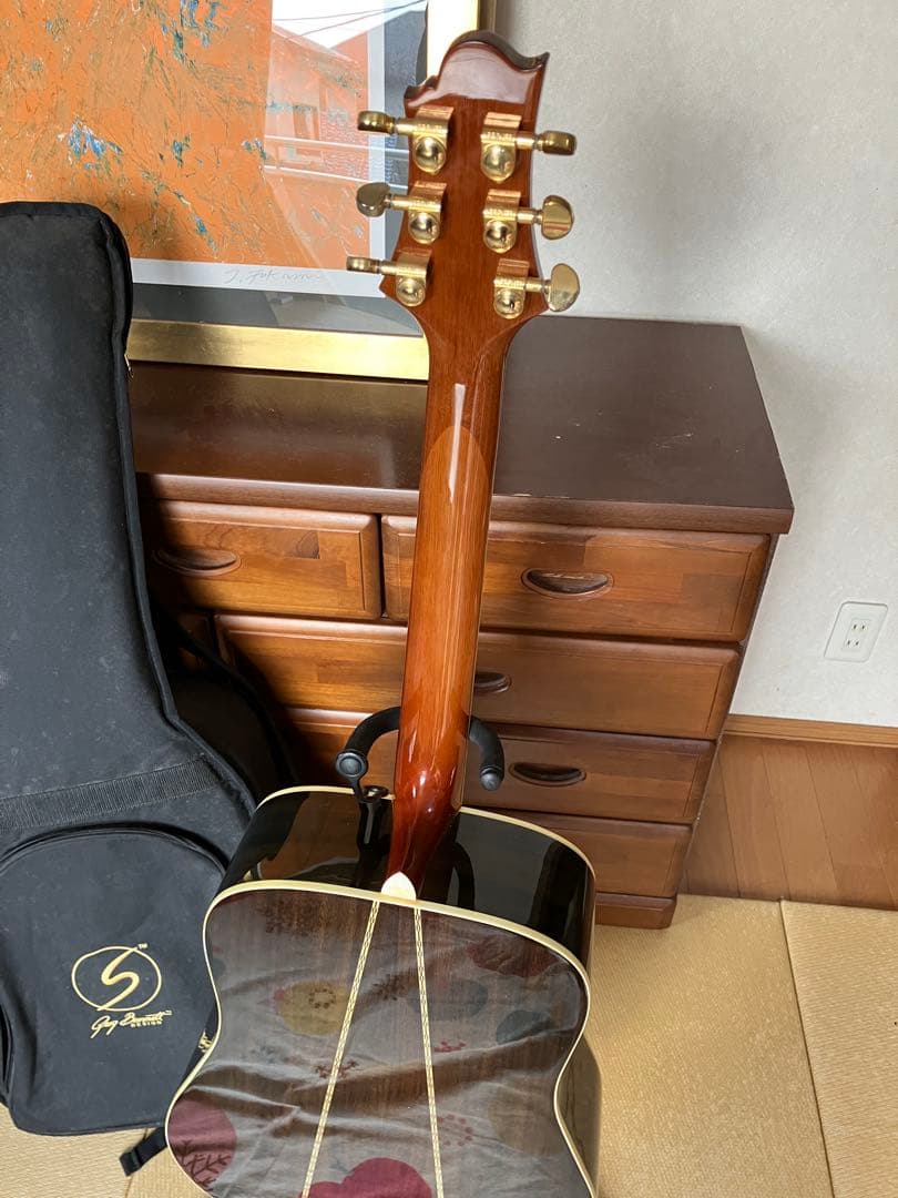 Greg Bennett グレッグ・ベネット　D-8