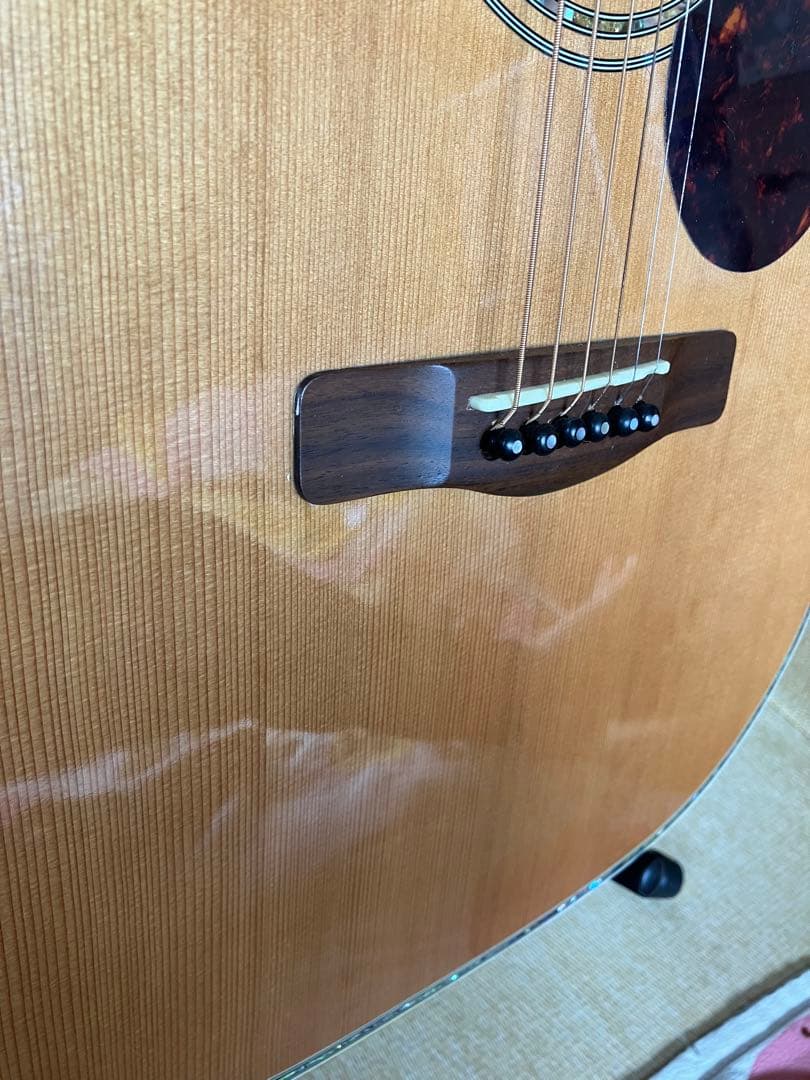 Greg Bennett グレッグ・ベネット　D-8