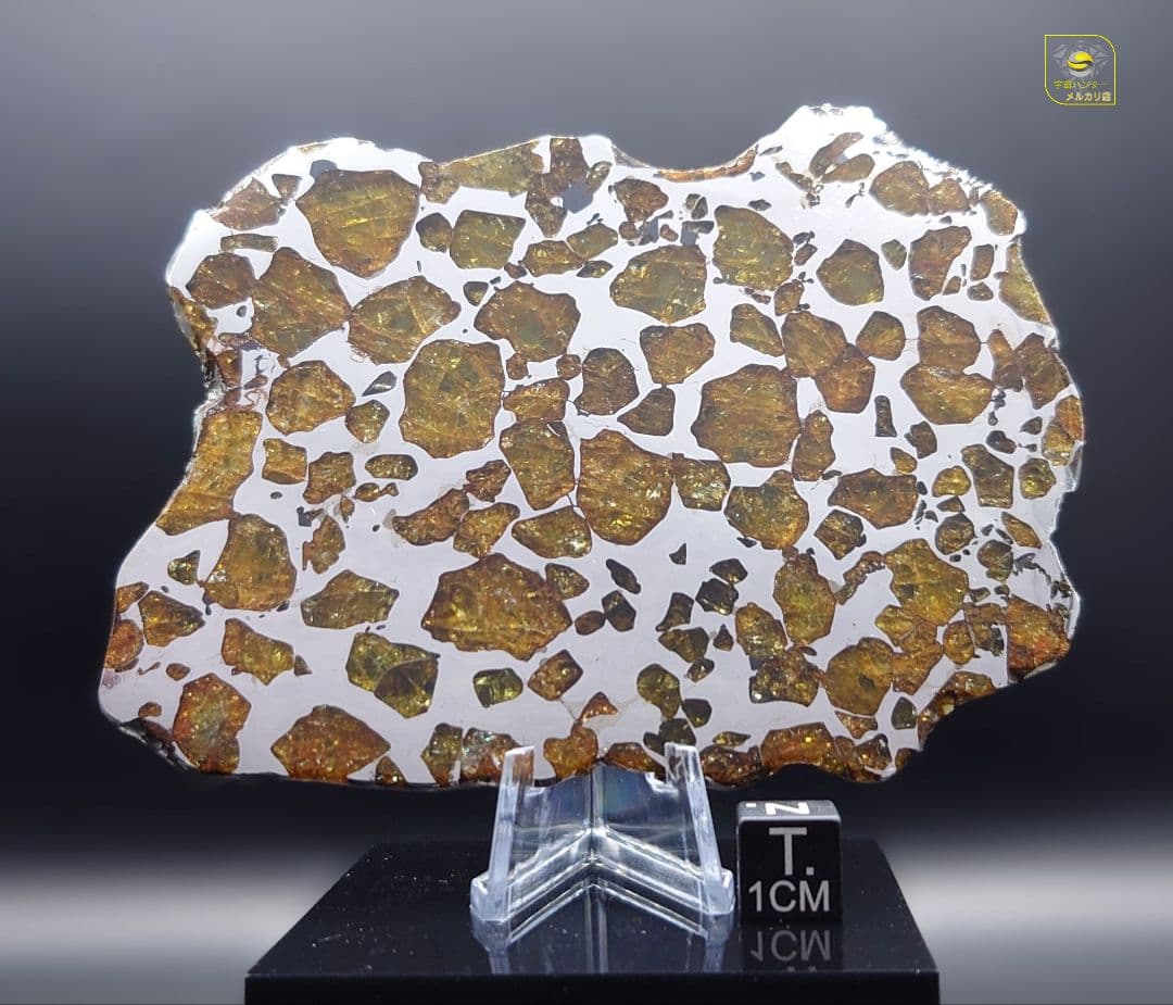 ★77.24g イミラック パラサイト 隕石 Imilac⭐⭐⭐