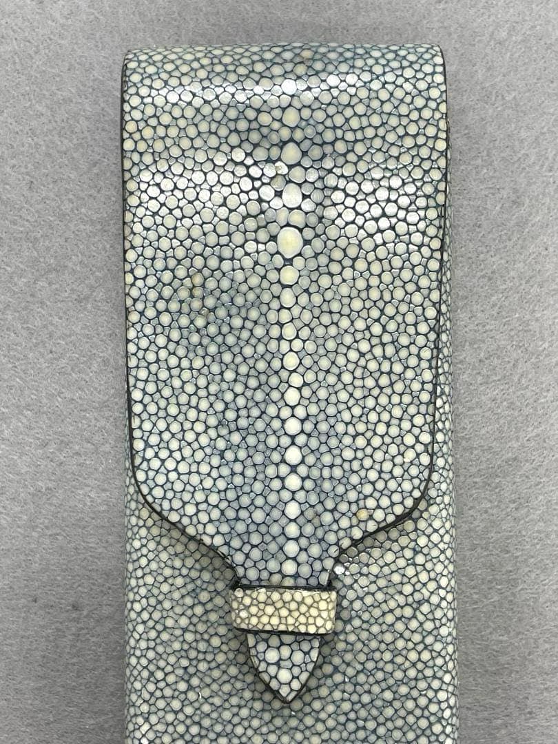 【希少素材•未使用】GANZO ガンゾ スティングレイ ガルーシャ　ペンケース