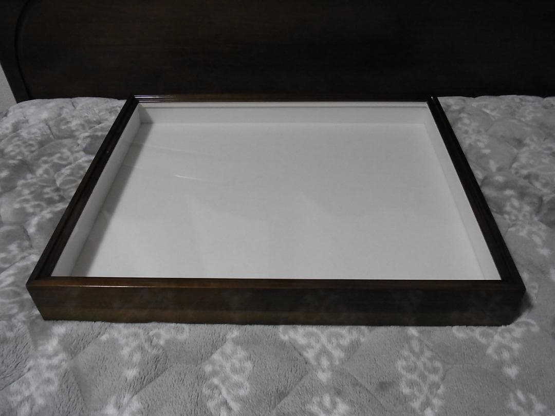 標本箱 T-WOOD 新品 未使用 幅500mm+x高410mm+x厚60mm位