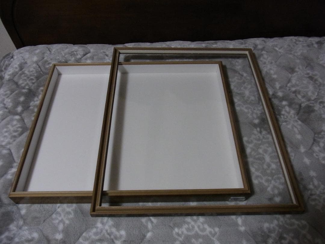 標本箱 T-WOOD 新品 未使用 幅500mm+x高410mm+x厚60mm位