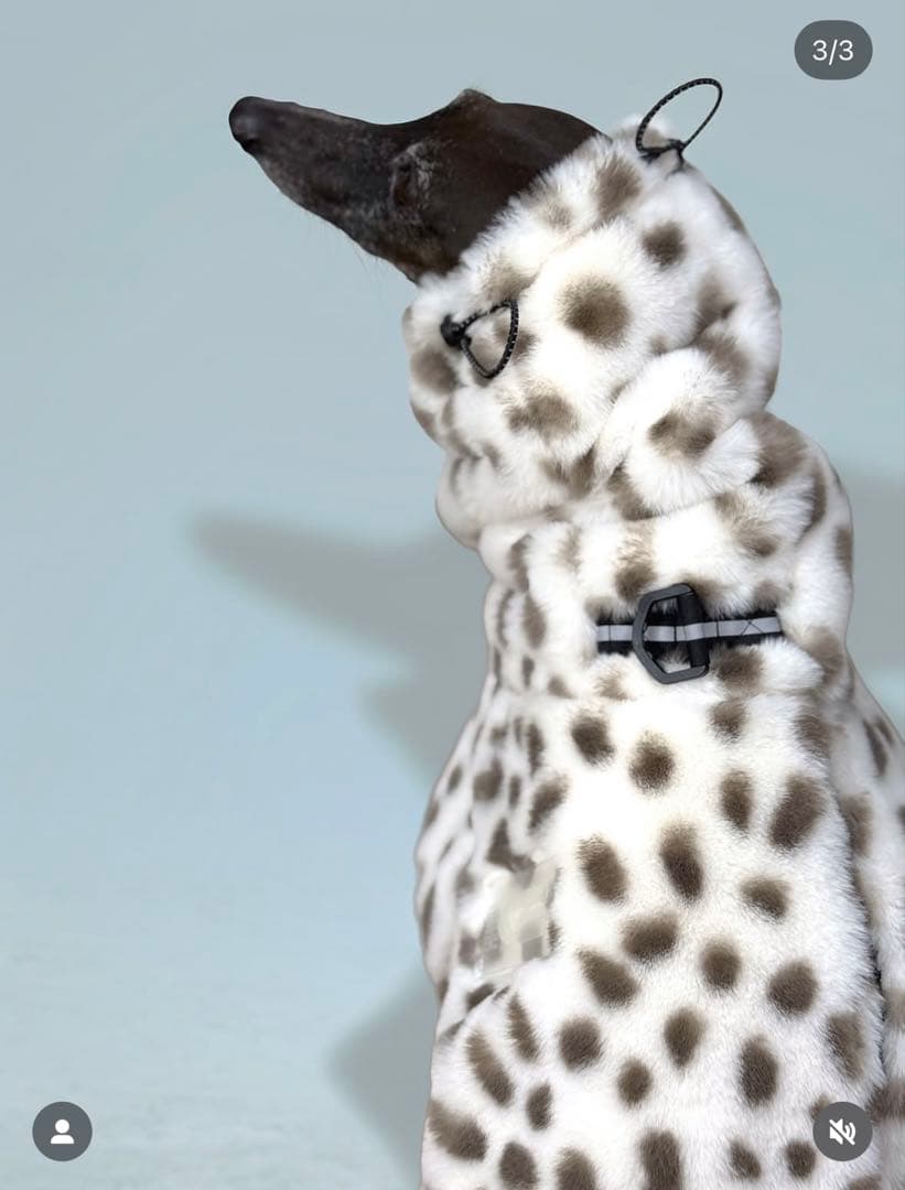 USHH 服 ロンパース イタグレ