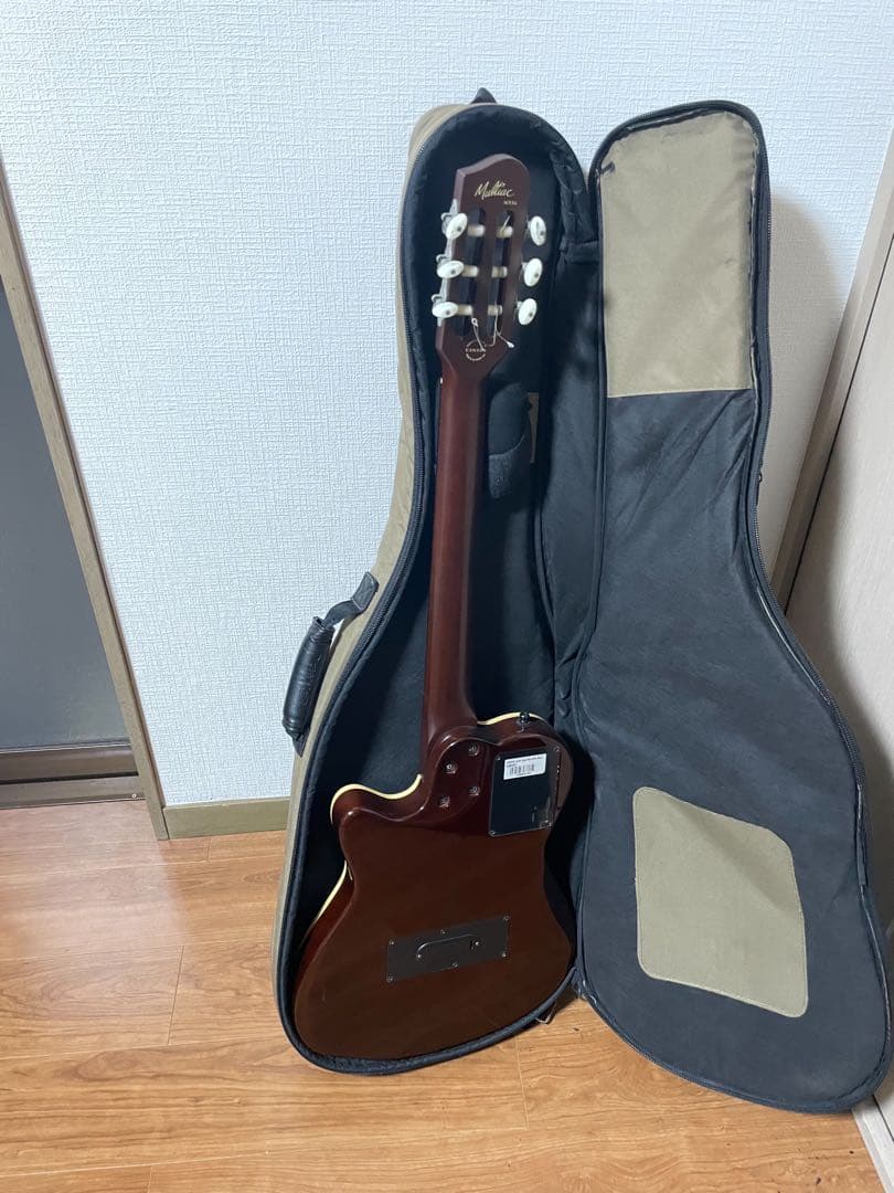 Godin Multiac ACSSA アコースティックギター ギターケース付き
