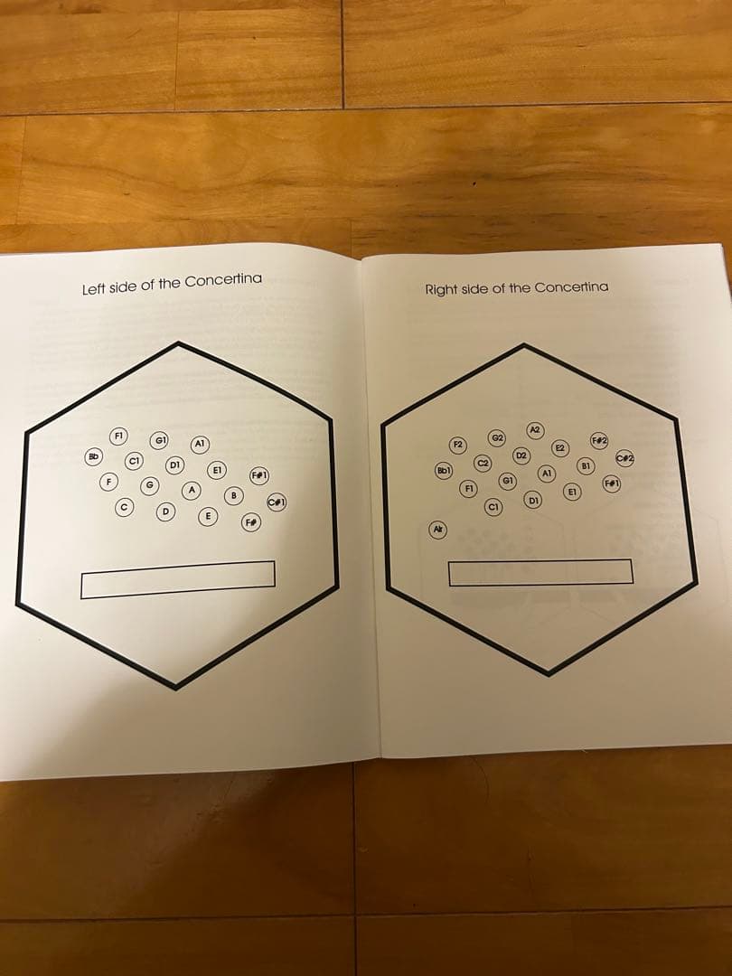 Elise ハイデン・デュエット・コンサーティーナ ブラック 収納バッグ付き