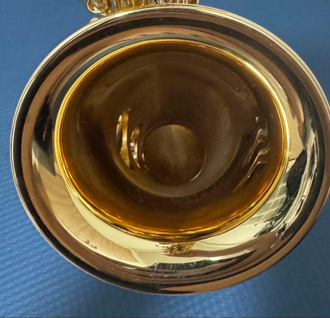 アルトサックス ヤマハ YAS-875EXG（03）　GP V1ネック