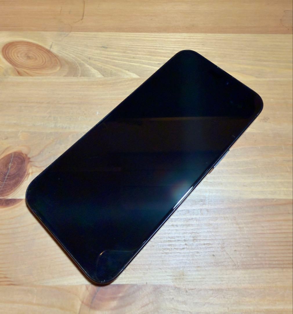 iPhone 15 Pro Max｜256gb｜SIMフリー版