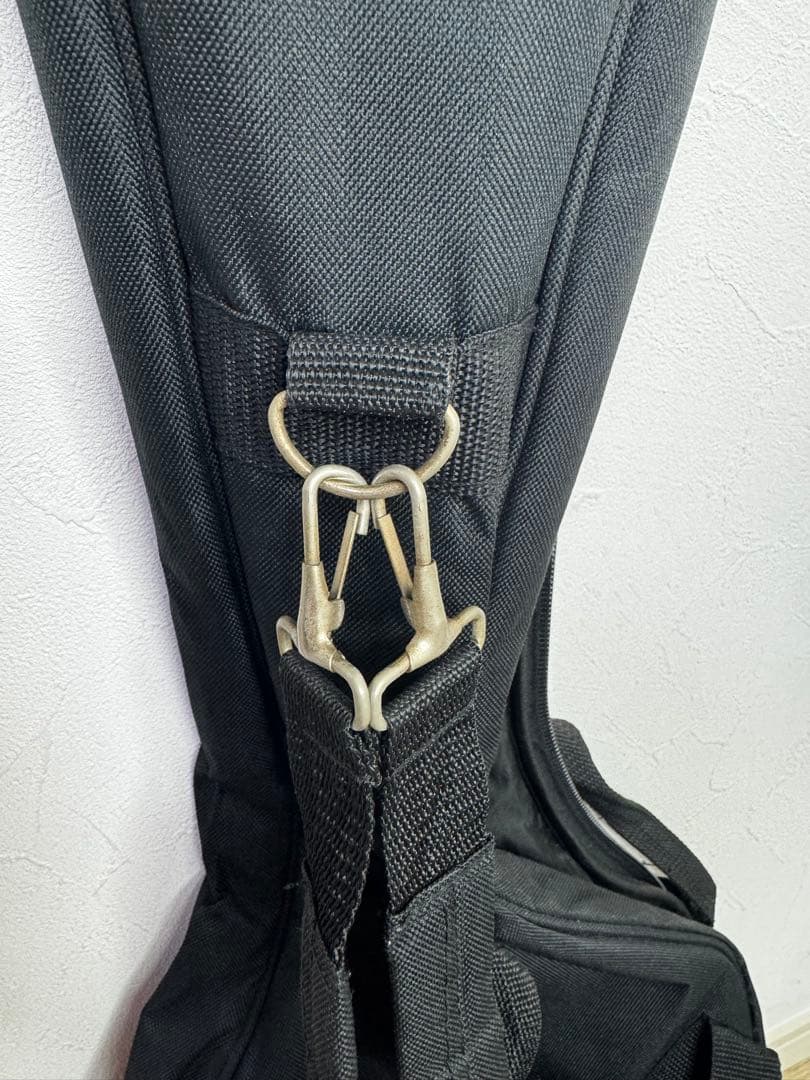 Daisy Rock Guitar エレキギター