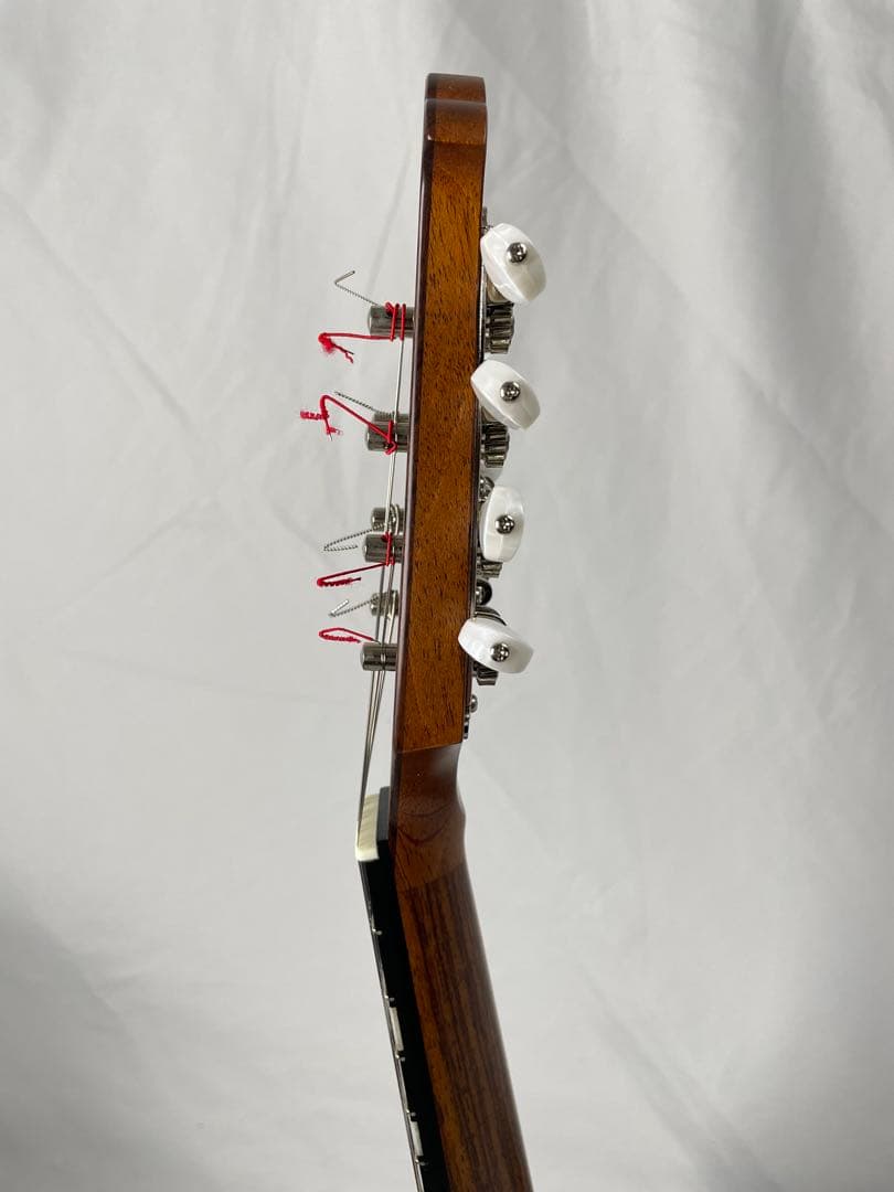 ASTURIAS/アストリアス MS-1bis マンドリン ケース付き