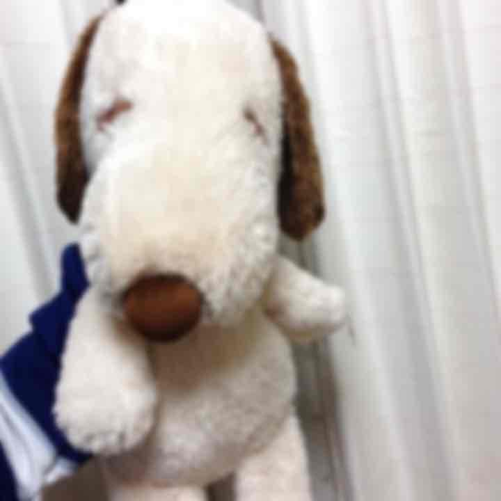 スヌーピー  ‖  ぬいぐるみ