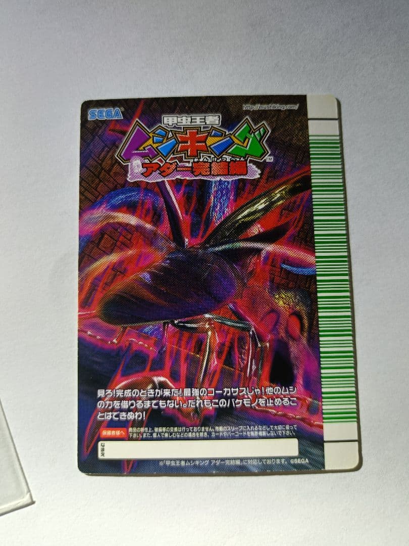 改造コーカサスオオカブト完全体　美品