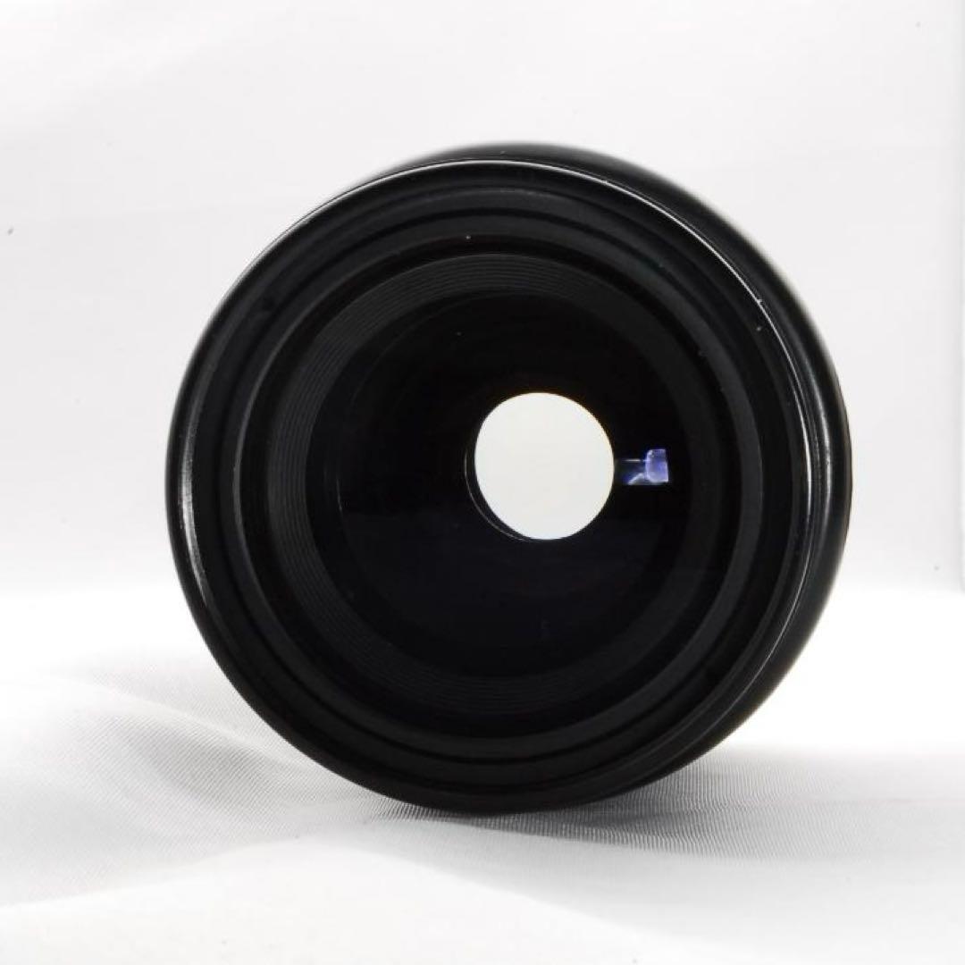 初心者向けCanon Kiss Digital N望遠ズーム付