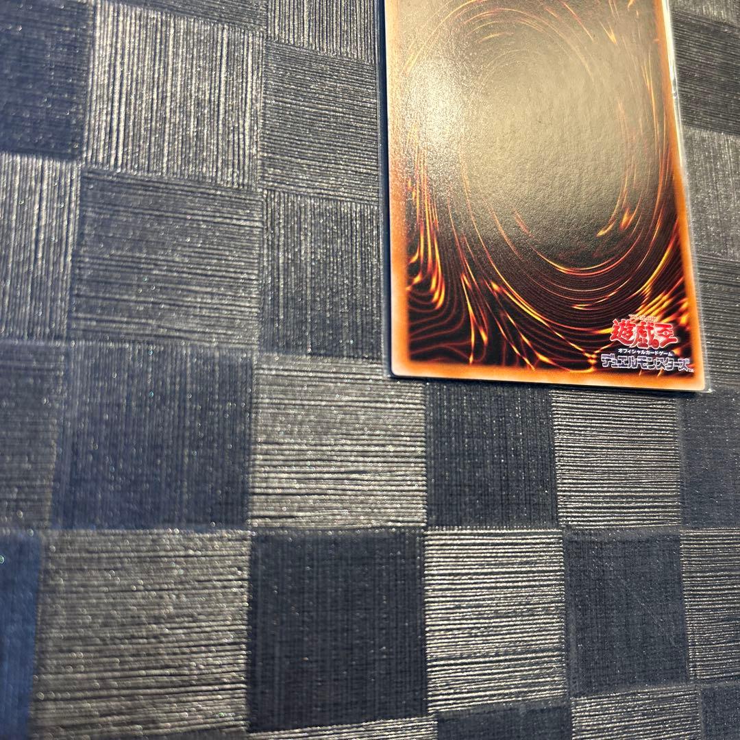 遊戯王 竜騎士ガイア レリーフ 1枚