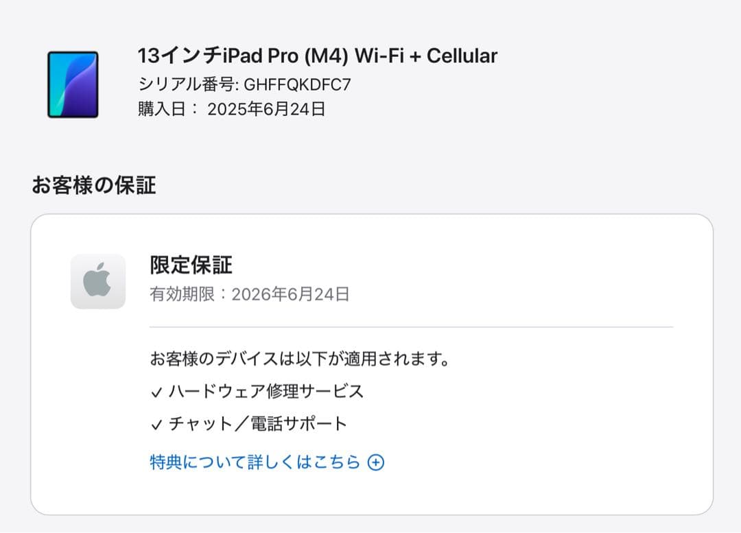 iPad Pro 13インチ M4 1TB セルラーモデル SIMフリー