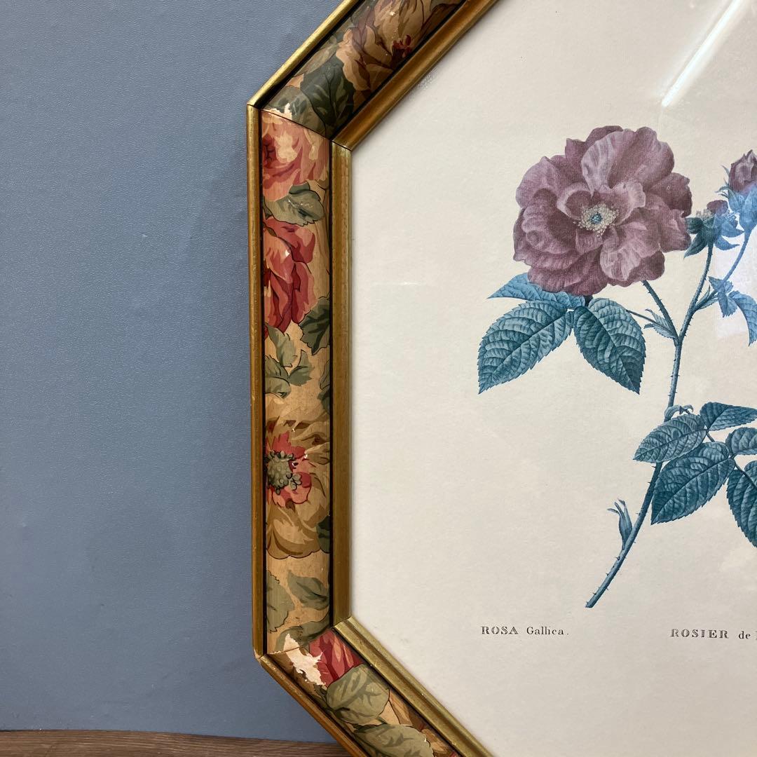 【イタリア製】ボタニカルアート 八角形 額縁 額装 薔薇 ロサ・ガリカ 花 絵画