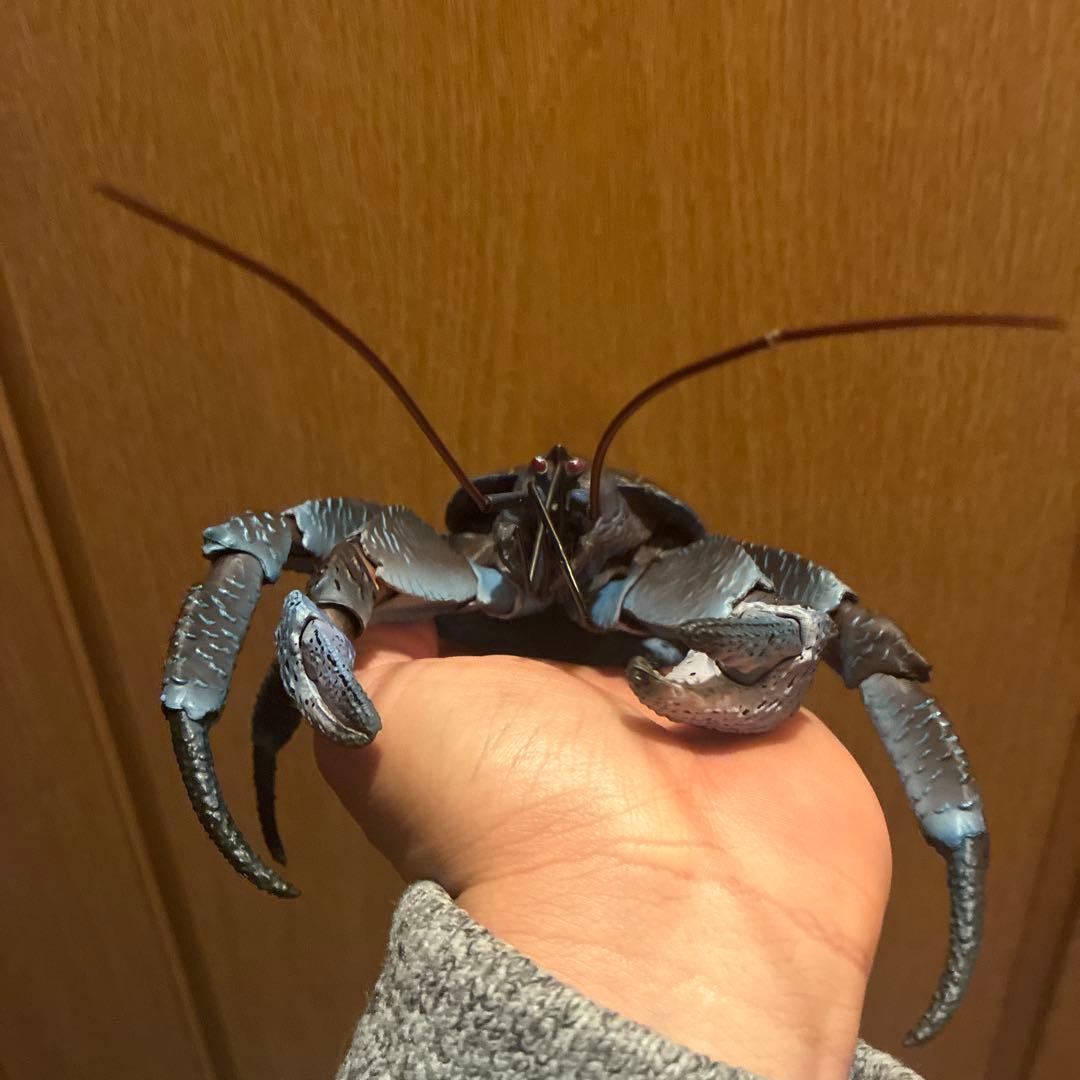 ピ*ノ様 いきもの大図鑑　ヤシガニ