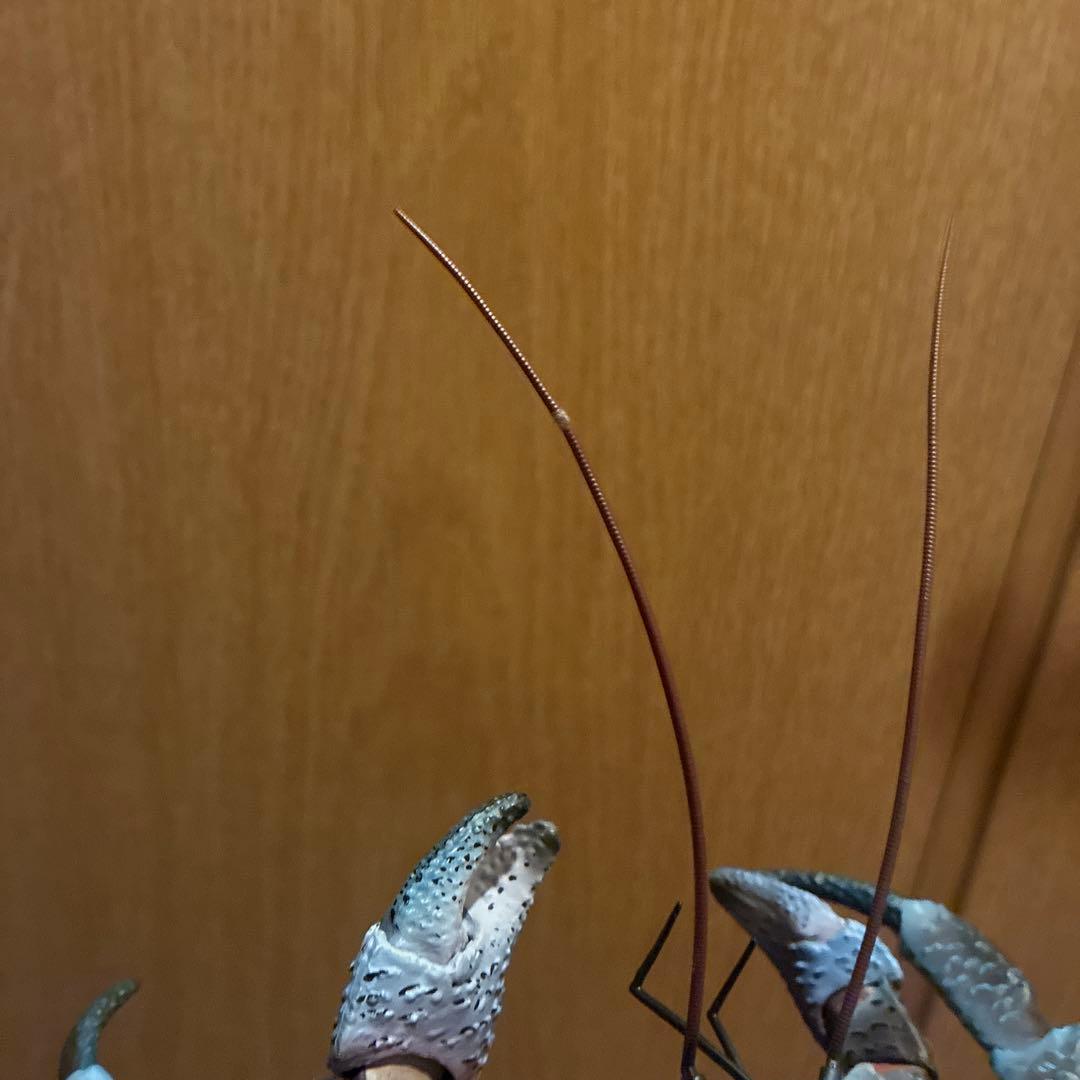 ピ*ノ様 いきもの大図鑑　ヤシガニ