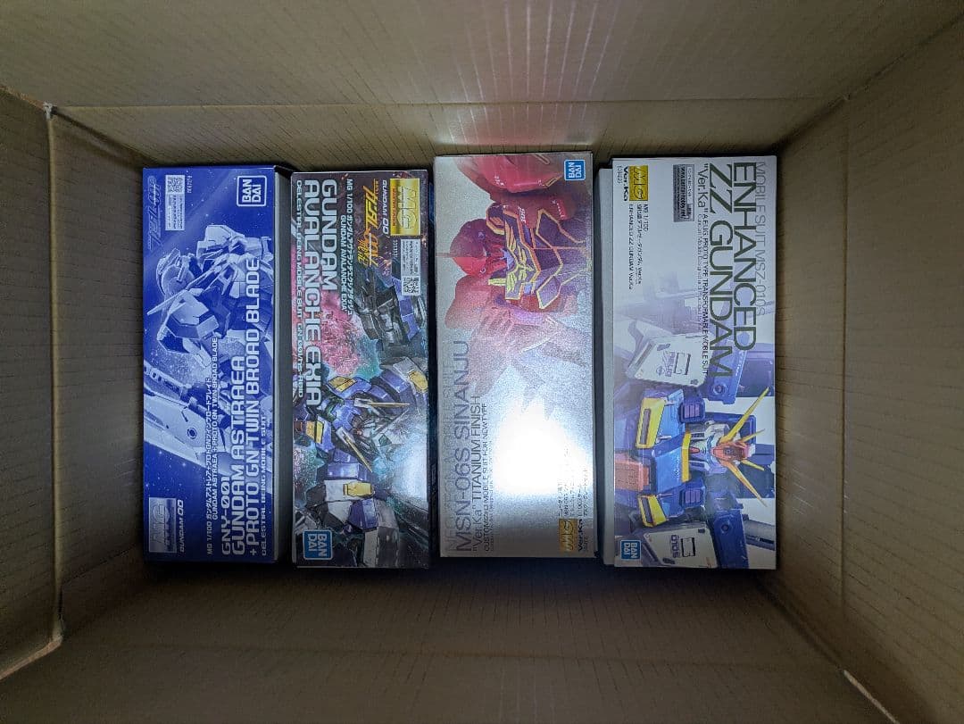 mg　ガンプラ　プレミアムバンダイ　チタニウムフィニッシュ