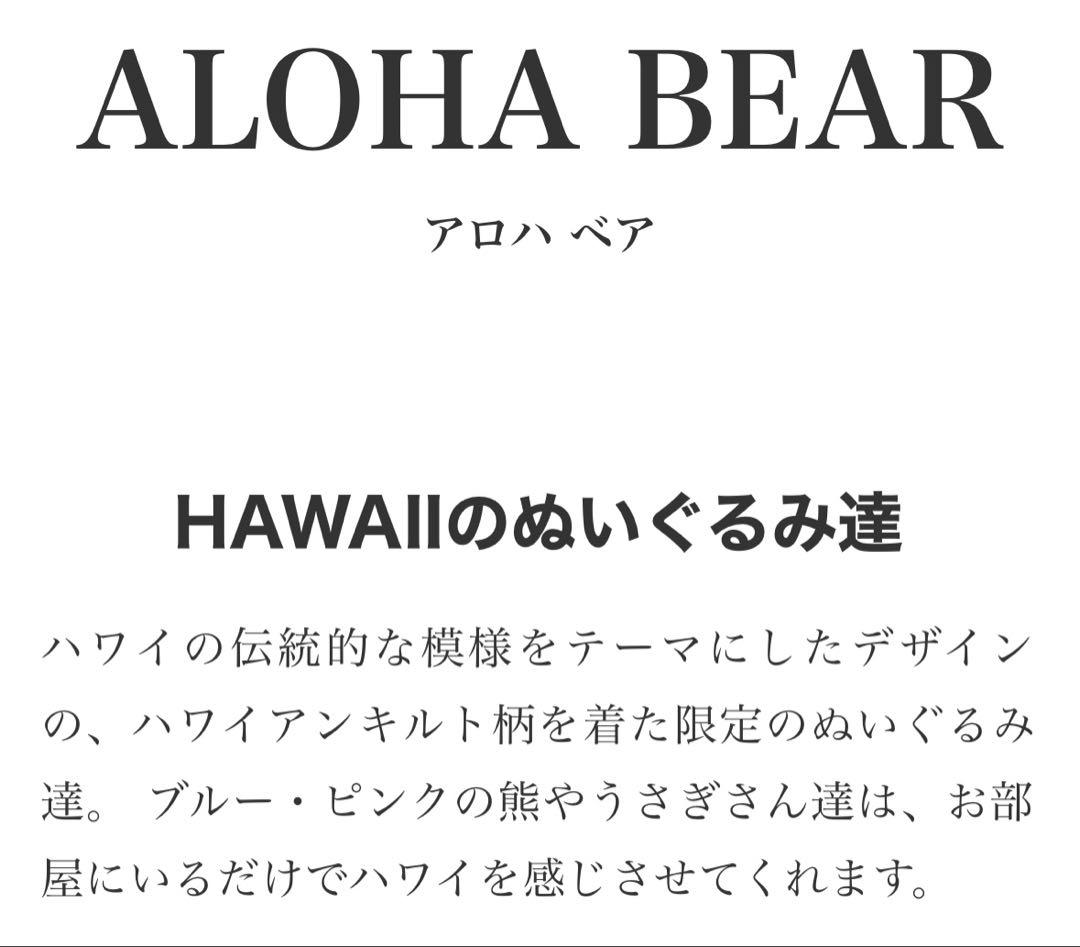 【美品】happy wedding bear ハワイアン　モアナサーフライダー