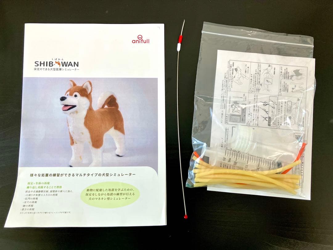 アニフル　保定のできる犬型医療シミュレーター「しばわん」