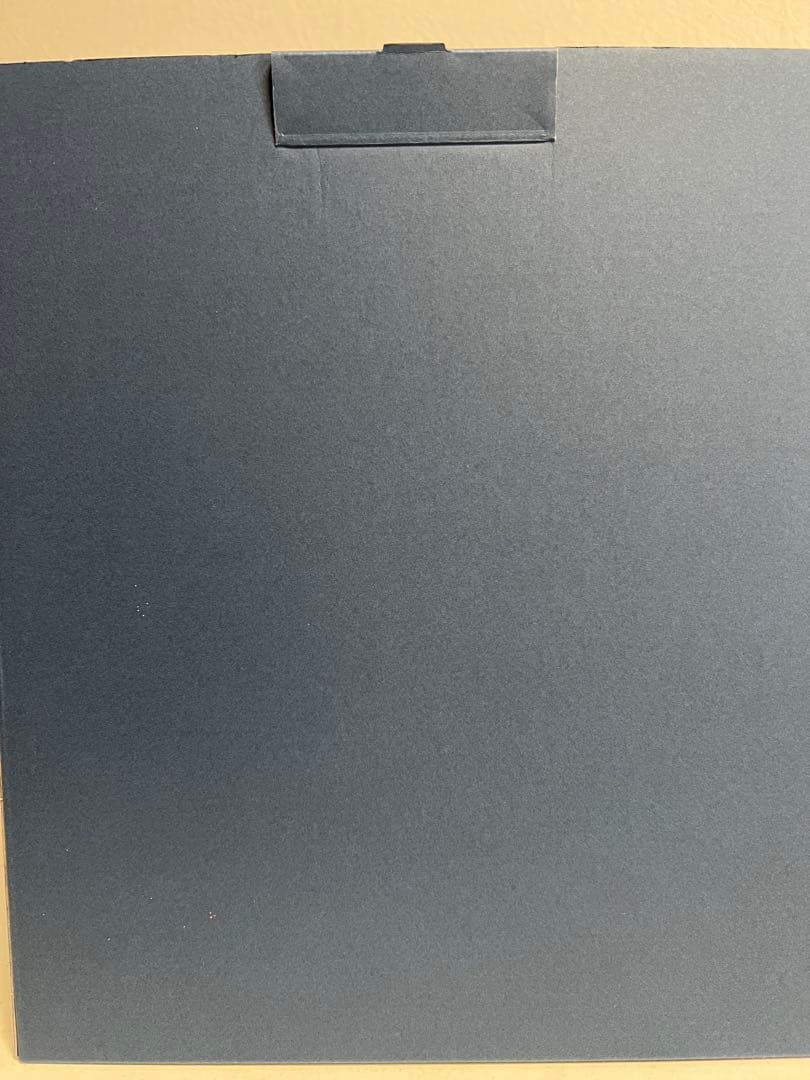 トトロ 30周年記念ぬいぐるみ 本体