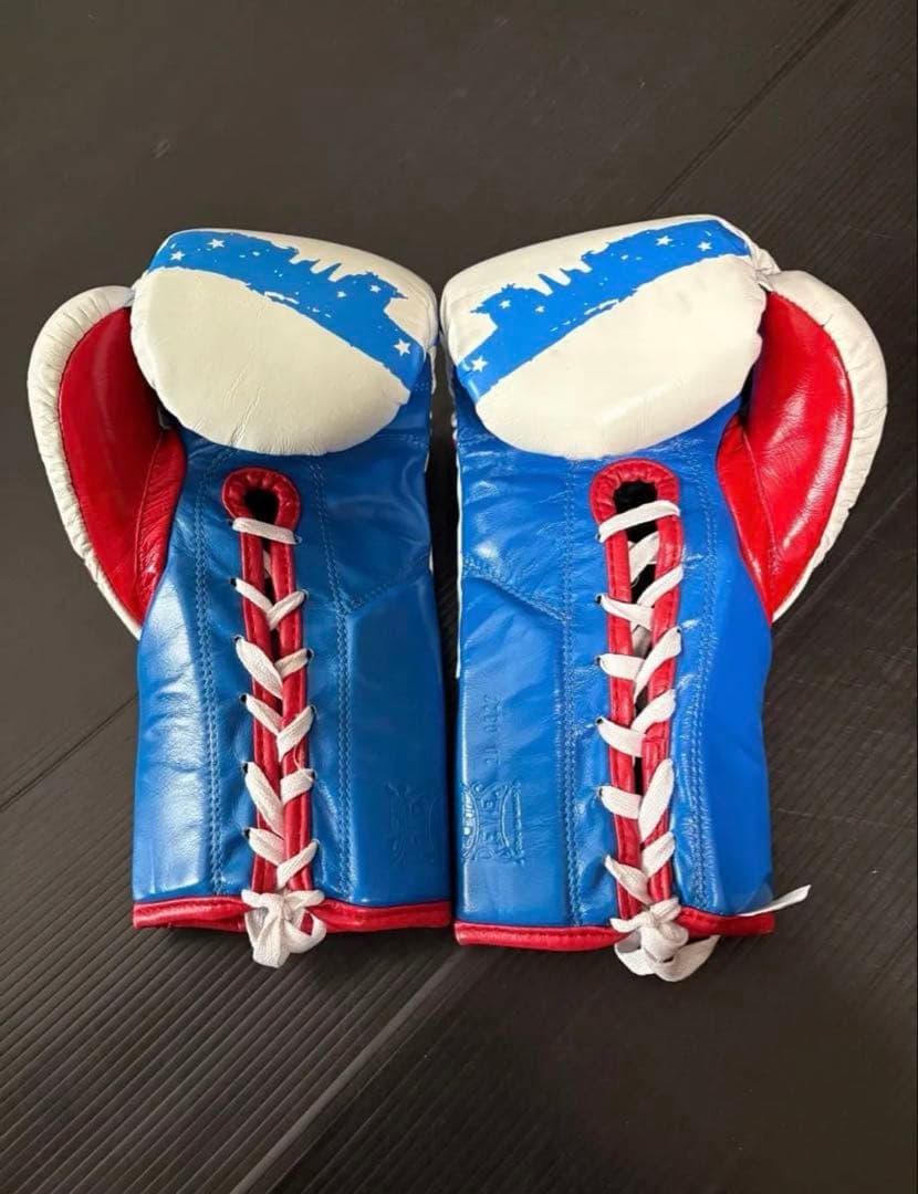 Clete Reyes ボクシンググローブ レイジェス