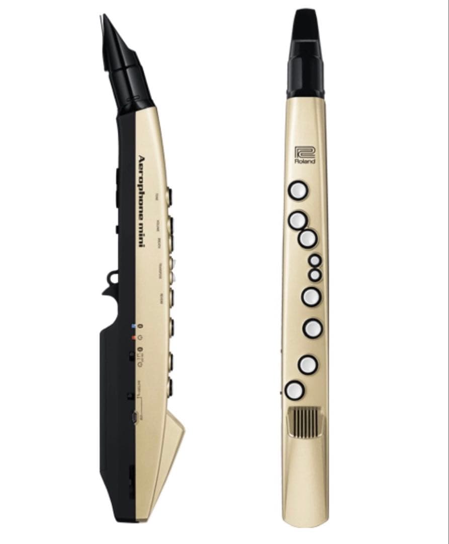 エアロフォンミニ　ローランドAerophone mini AE-01 ゴールド