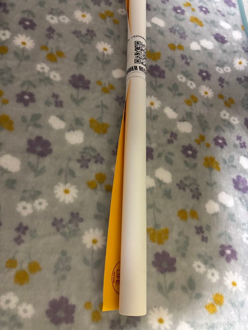 NO MUSIC NO LIFE ポスター BRAHMAN タワレコ