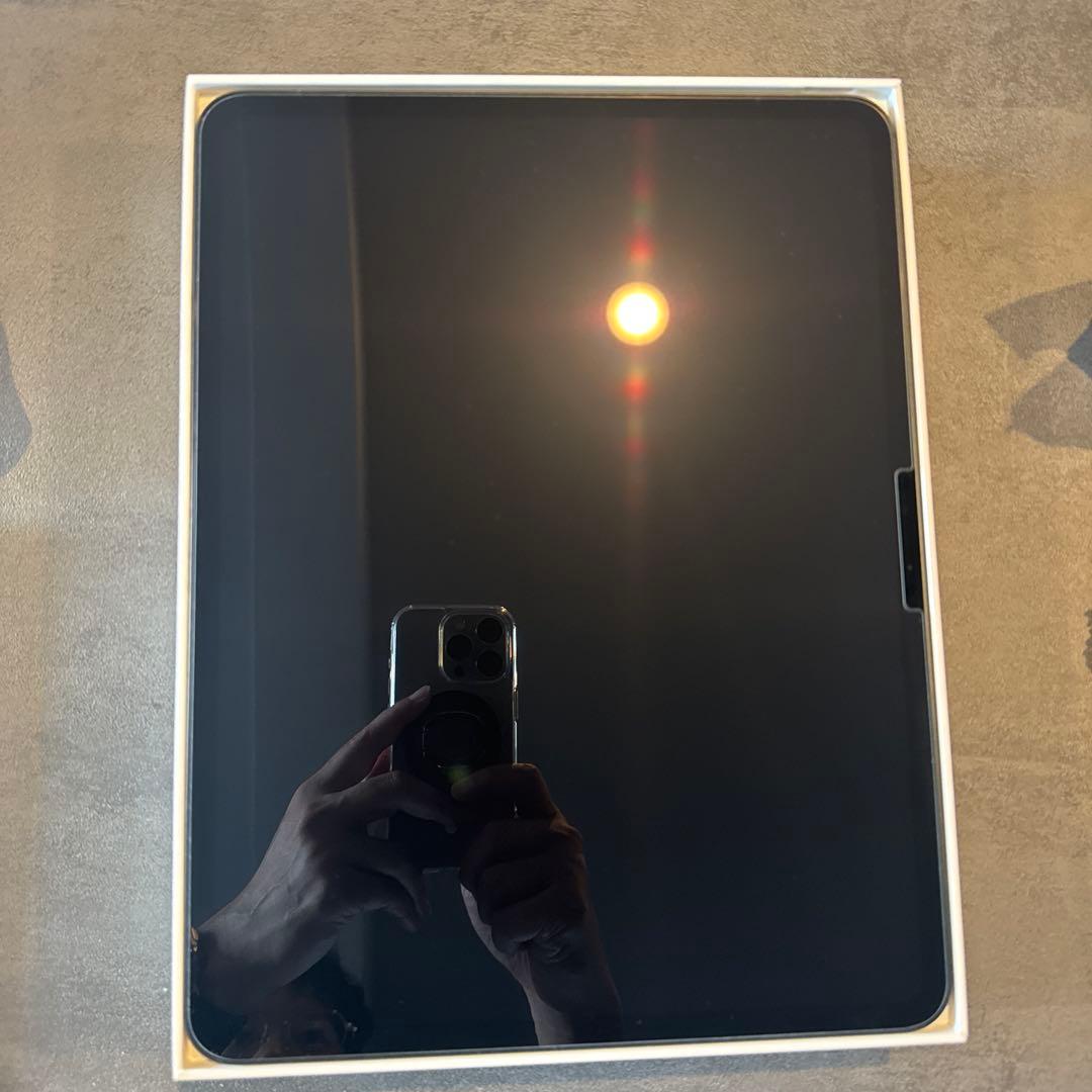 【美品】Apple iPad Pro (M4) 13インチ256GB Wi-Fi