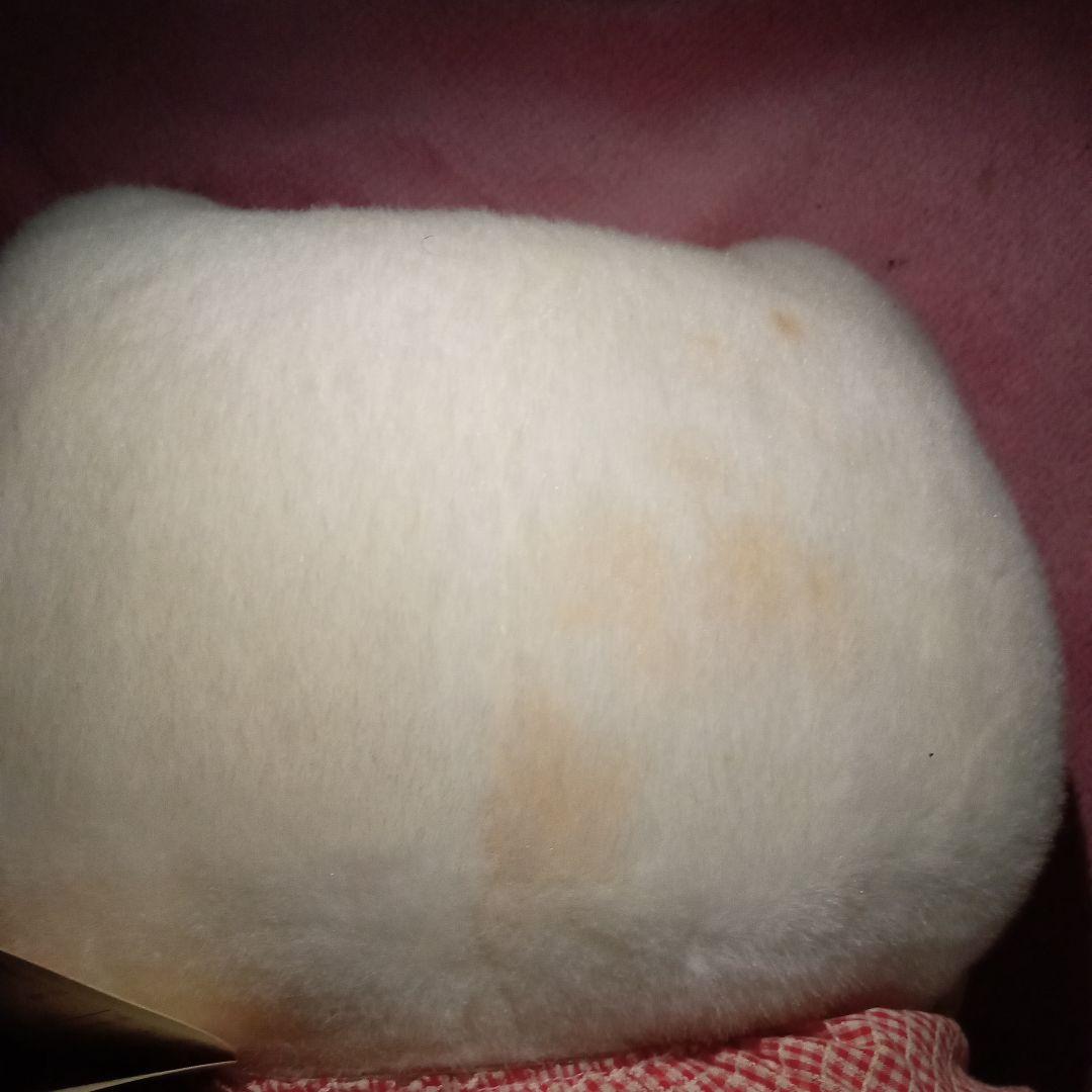 ハローキティ　ペンブローク　ウェルシュ　コーギーLL　2002年製