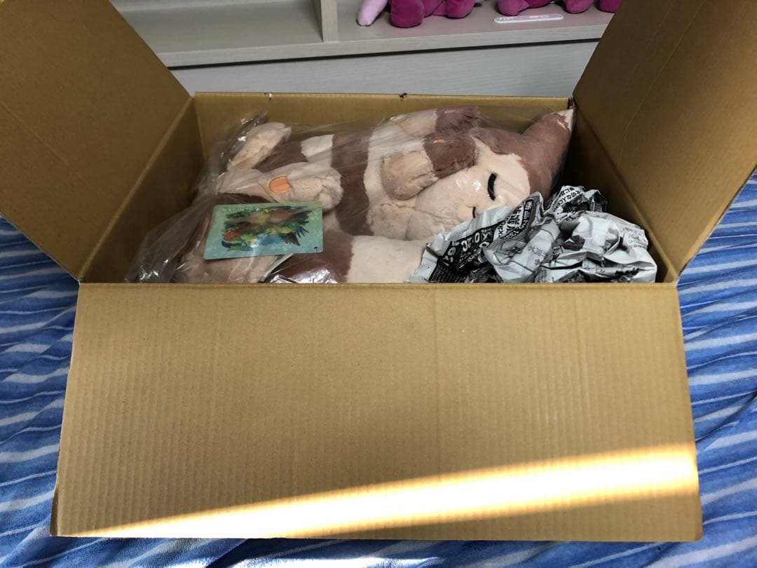 ポケモン ふわふわぬいぐるみクッション もりのおくりもの オオタチ ぬいぐるみ