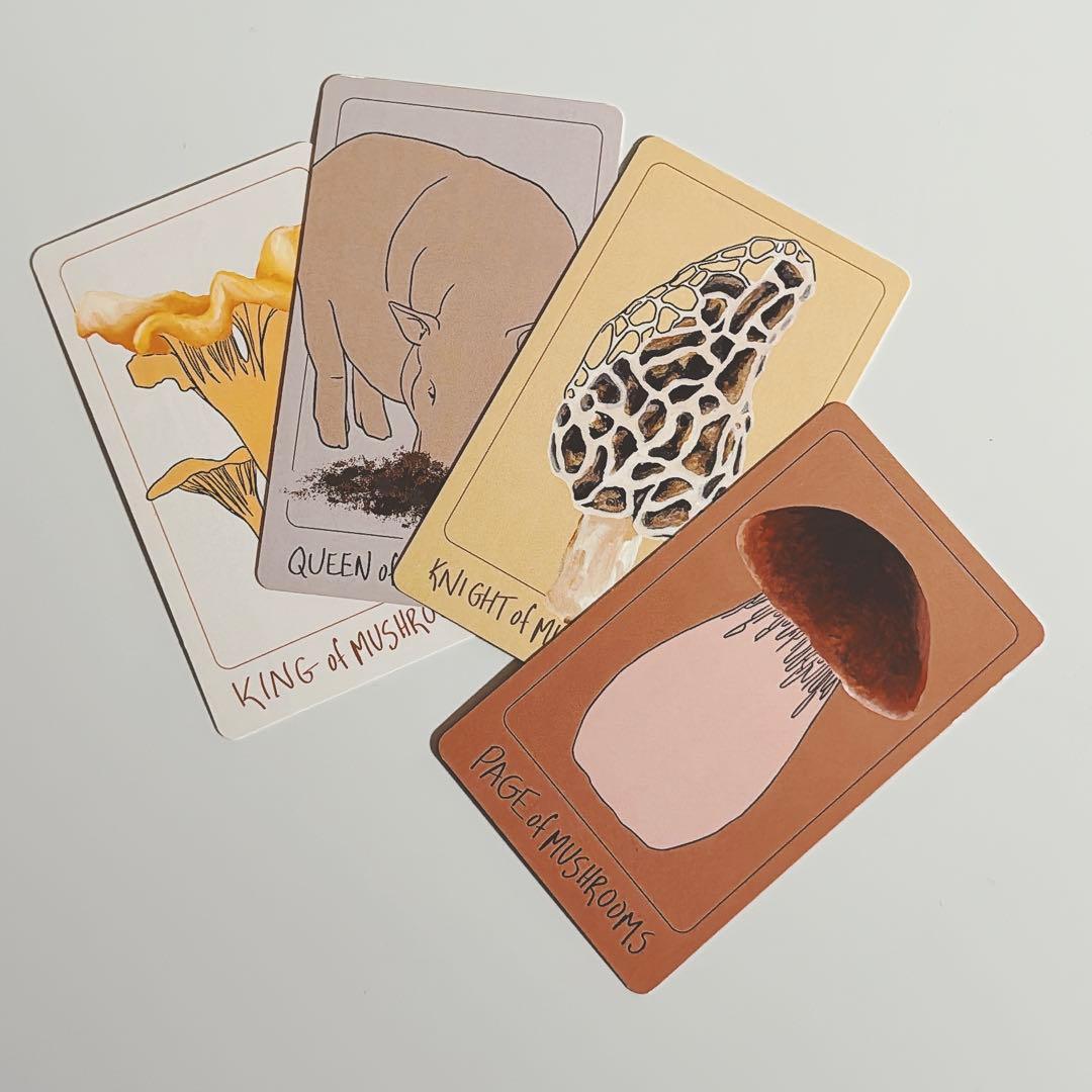 【超希少】Herbal and Spiced Culinary Tarot