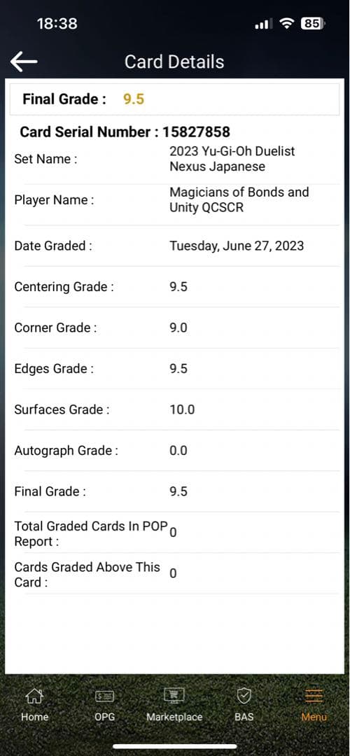 【BGS9.5】結束と絆の魔導師