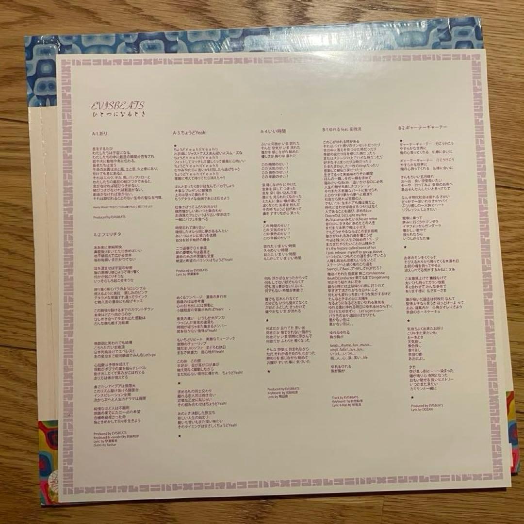 EVISBEATS ひとつになるとき レコード