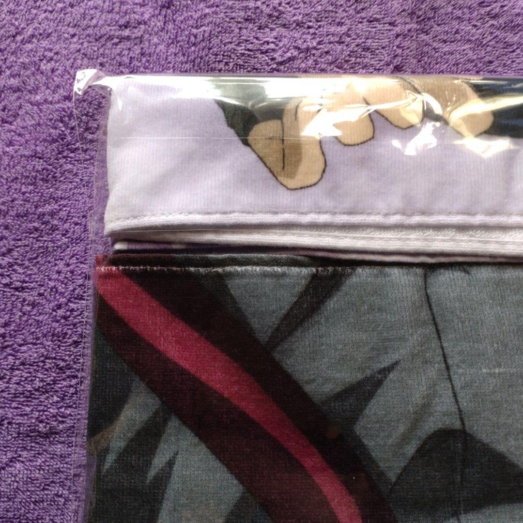 ガンダムSEEDDESTINY、アスラン・ザラバスタオル。