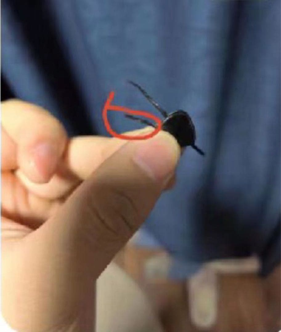 新世紀エヴァンゲリオン アスカ ガレージキット ガレキ スタチュー ①⑧