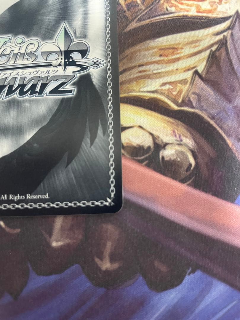 ヴァイスシュヴルツ GGO最強のスナイパー シノン