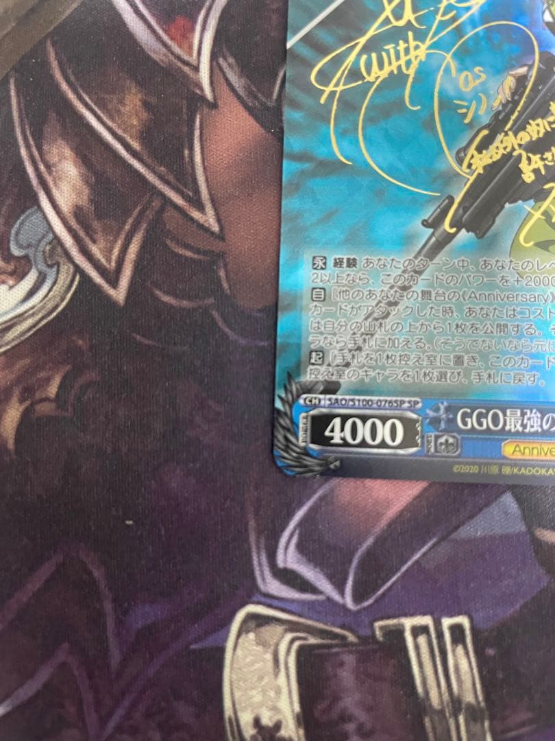 ヴァイスシュヴルツ GGO最強のスナイパー シノン